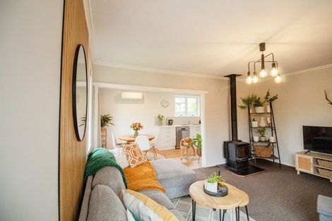 Photo of property in 101 Mulgrave Street, Ashhurst, 4810