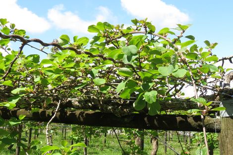 Photo of property in 2 Tanekaha Drive, Parahaki, Whangarei, 0112