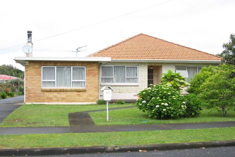 Photo of property in 50 Princes Street, Pukekohe, 2120