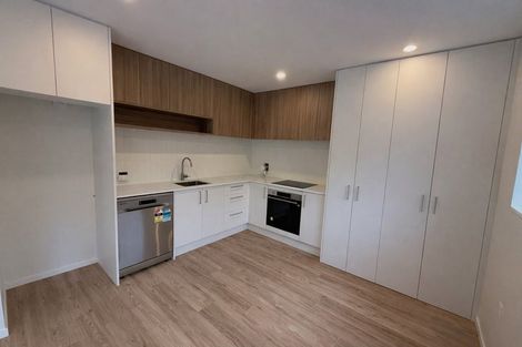 Photo of property in 1/164 Edinburgh Street, Spreydon, Christchurch, 8024