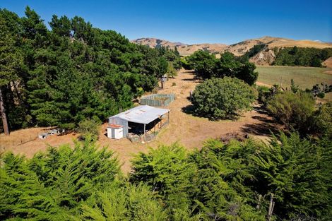 Photo of property in 189 Gulch Road, Ward, Seddon, 7285