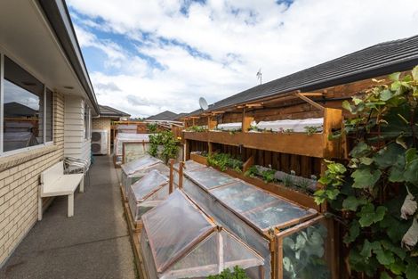 Photo of property in 17 Layla Place, Katikati, 3178