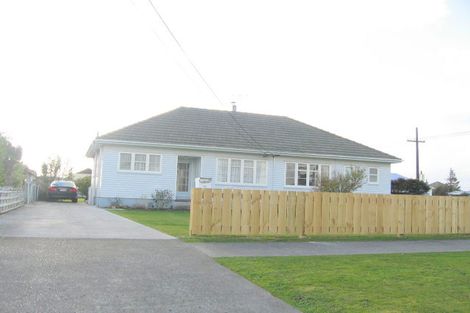 Photo of property in 20 Monmouth Street, Feilding, 4702