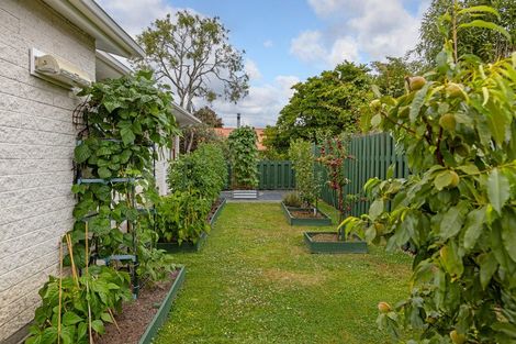 Photo of property in 4 Chamberlain Road, Masterton, 5810