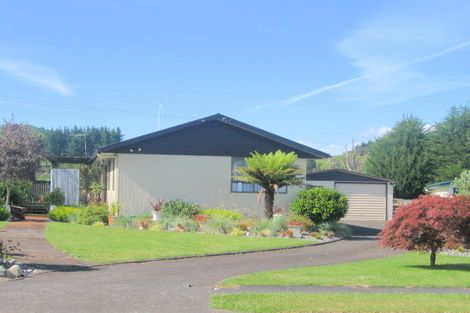 Photo of property in 58 Miro Street, Manunui, Taumarunui, 3924