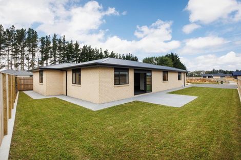 Photo of property in 53 Hereford Street, Marton, 4710