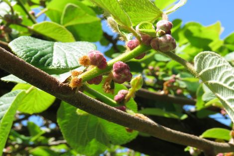 Photo of property in 2 Tanekaha Drive, Parahaki, Whangarei, 0112