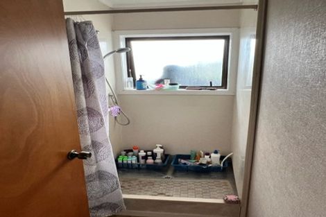 Photo of property in 52 Anglesea Street, Hamilton Central, Hamilton, 3204