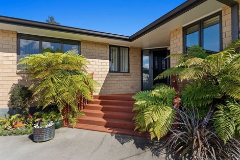 Photo of property in 14a Bracken Street, Whakatane, 3120