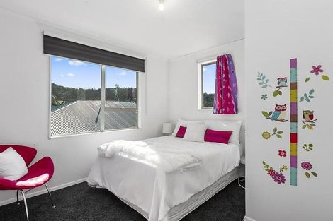 Photo of property in 439 South Road, Calton Hill, Dunedin, 9012