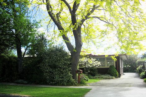 Photo of property in 26 Leefield Street, Blenheim, 7201