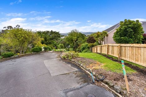 Photo of property in 27a Elliffe Place, Shiel Hill, Dunedin, 9013