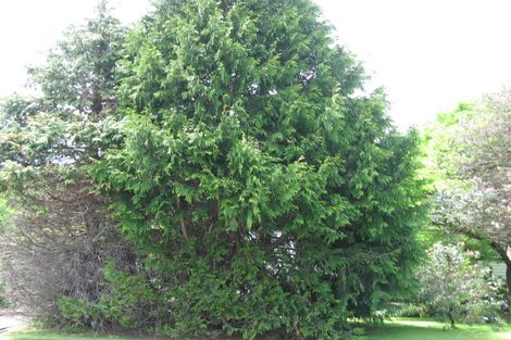 Photo of property in 147 Stout Street, Mangapapa, Gisborne, 4010