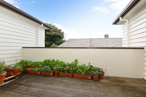 Photo of property in 223c Peachgrove Road, Claudelands, Hamilton, 3214