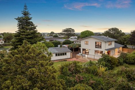 Photo of property in 111 Sandspit Road, Waiuku, 2123