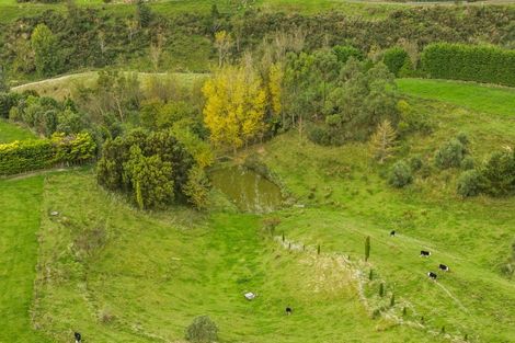 Photo of property in 41 Guyland Drive, Turitea, Palmerston North, 4472