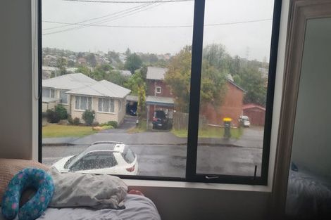 Photo of property in 40a Boyce Avenue, Mount Roskill, Auckland, 1041