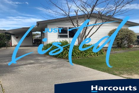 Photo of property in 6 Stout Street, Masterton, 5810