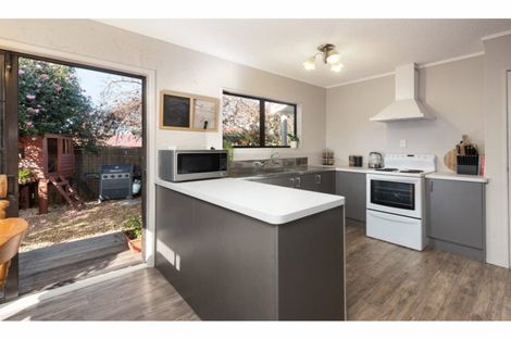 Photo of property in 14 College Place, Poike, Tauranga, 3112