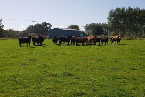 Photo of property in Hislop Road, Inch Clutha, Kaitangata, 9281