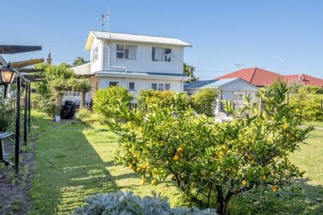 Photo of property in 99 Queen Street West, Levin, 5510