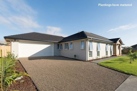 Photo of property in 62 Ranui Avenue, Kerikeri, 0230