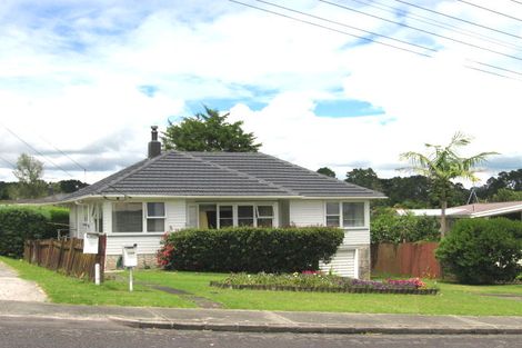 Photo of property in 100 Webster Avenue, Mount Roskill, Auckland, 1041