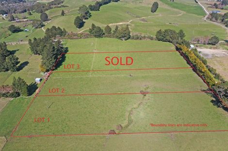 Photo of property in 45 Marchant Street, Eketahuna, 4900