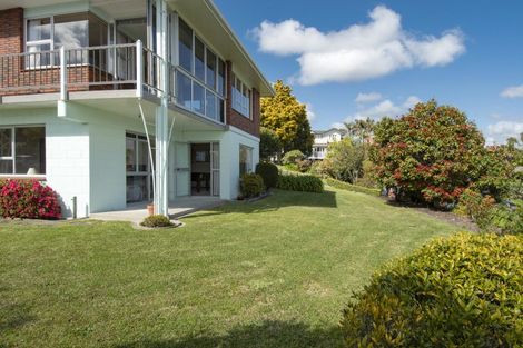 Photo of property in 34 Vine Avenue, Maungatapu, Tauranga, 3112