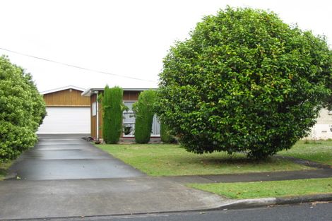 Photo of property in 48 Princes Street, Pukekohe, 2120
