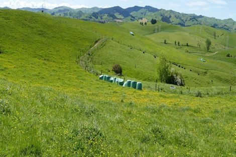 Photo of property in 361 Martin Road, Waerenga, Te Kauwhata, 3781