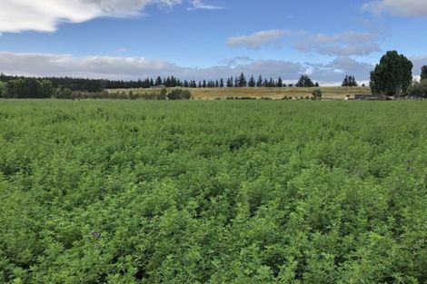 Photo of property in 686 Springvale Road, Springvale, Alexandra, 9393