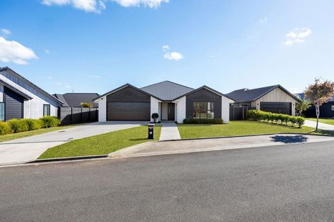 Photo of property in 12 Lewis Way, Cambridge, 3434