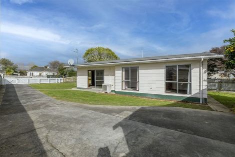 Photo of property in 6 Cook Street, Levin, 5510