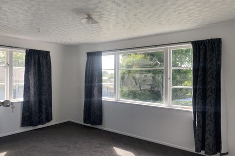 Photo of property in 17 Minifie Avenue, Melville, Hamilton, 3206