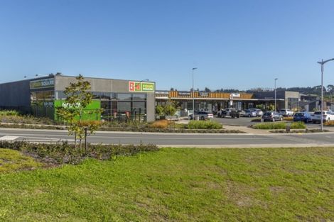 Photo of property in 54 Te Ranga Memorial Drive, Pyes Pa, Tauranga, 3112