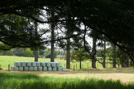 Photo of property in 75 Malone Road, Poroti, Whangarei, 0179