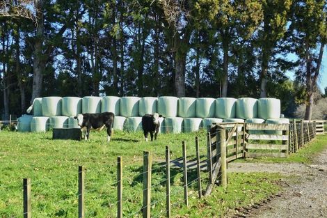 Photo of property in 288 Oropi Gorge Road, Oropi, Tauranga, 3173