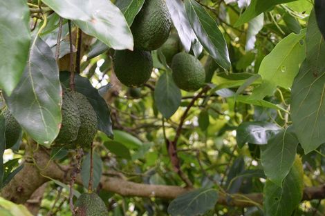 Photo of property in 1 Journeys End, Tapora, Wellsford, 0977