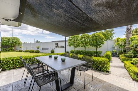 Photo of property in 19 Lochhead Street, Mahora, Hastings, 4120