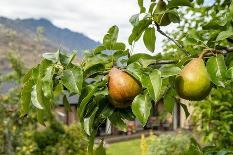 Photo of property in 3 Witley Lane, Lower Shotover, Queenstown, 9371