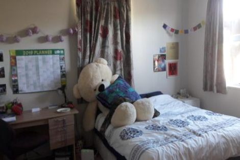 Photo of property in 1/16 Tika Street, Riccarton, Christchurch, 8041