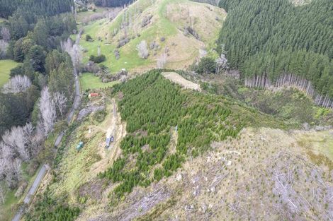 Photo of property in 133 South Road, Solway, Masterton, 5810