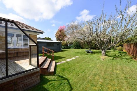 Photo of property in 36 Oxford Street, Fairfield, Hamilton, 3214