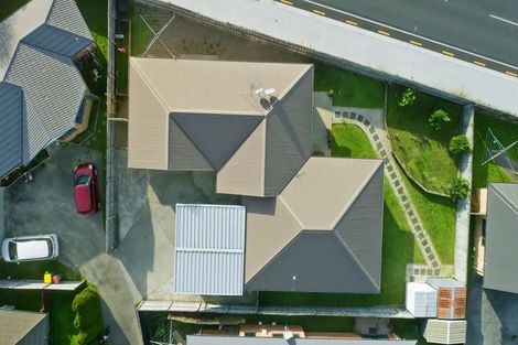 Photo of property in 24 Finchley Place, Hamilton East, Hamilton, 3216