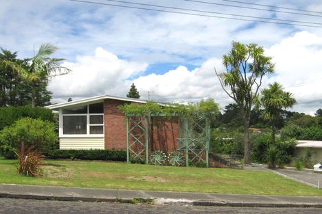 Photo of property in 102 Webster Avenue, Mount Roskill, Auckland, 1041
