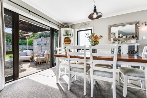 Photo of property in 19 Maple Avenue, Dinsdale, Hamilton, 3204