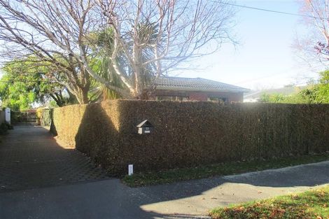 Photo of property in 53 Ngaio Street, Saint Martins, Christchurch, 8022