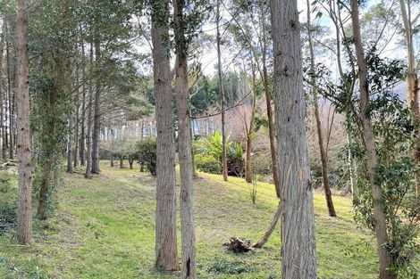 Photo of property in 2201 State Highway 12, Paparoa, 0571