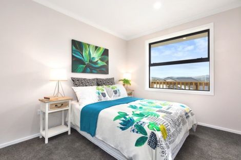 Photo of property in 169 John Burke Drive, Aotea, Porirua, 5024